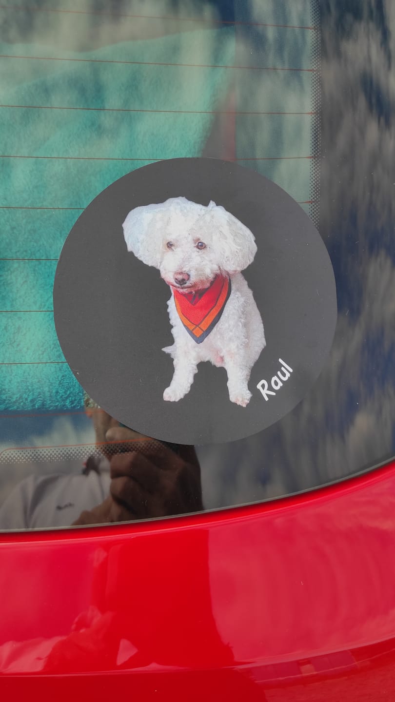 Customer photo review of Personalisierter Autoaufkleber - Dein Foto