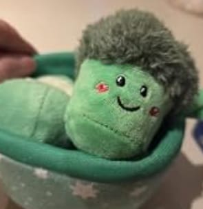 Customer photo review of マジック野菜バスケット