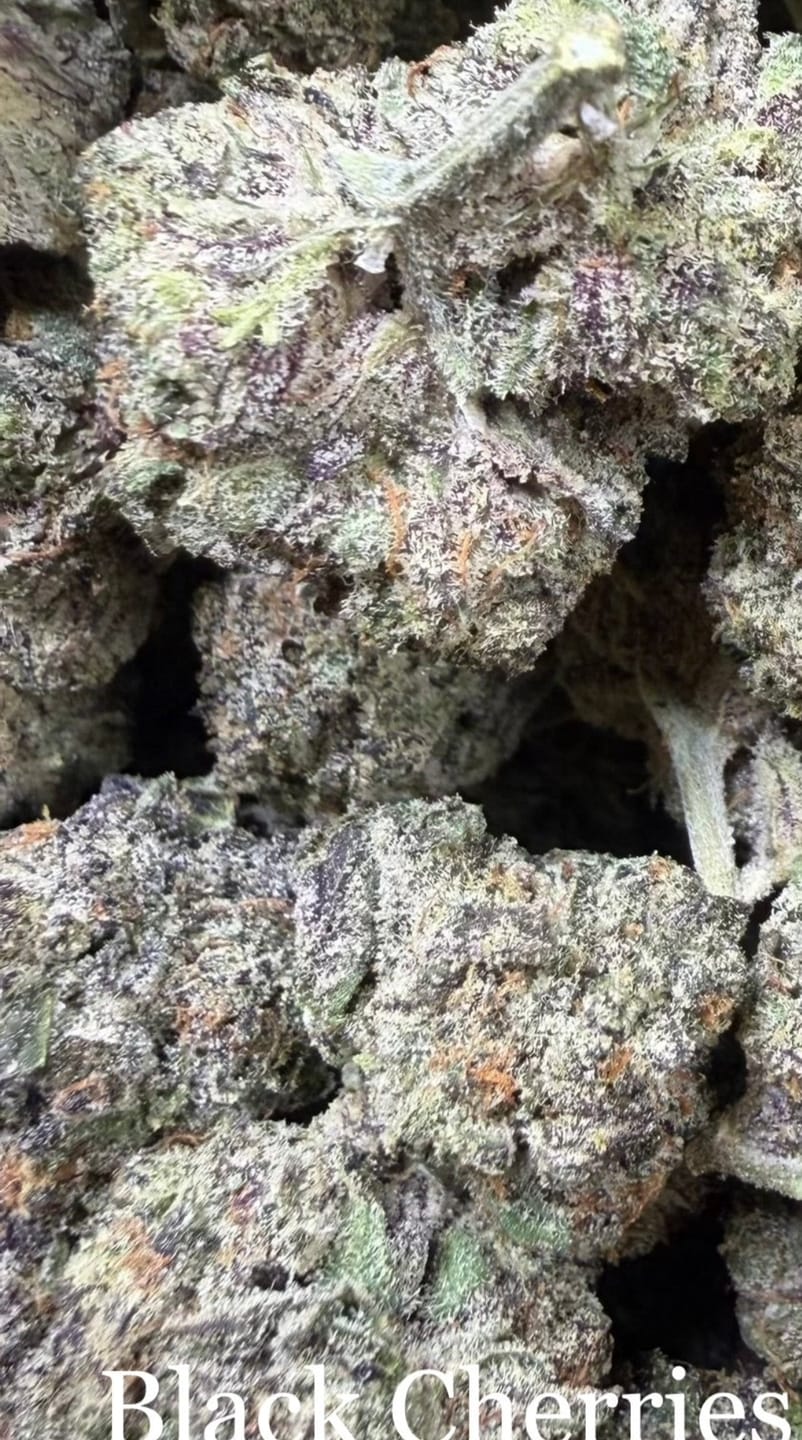 Customer photo review of Zkittlez THCA Flower (Budget)