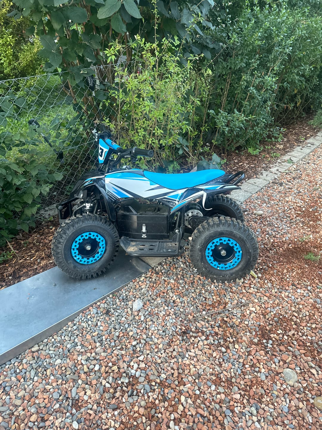 Customer photo review of Quad enfant électrique 800w - Modèle MQ-800