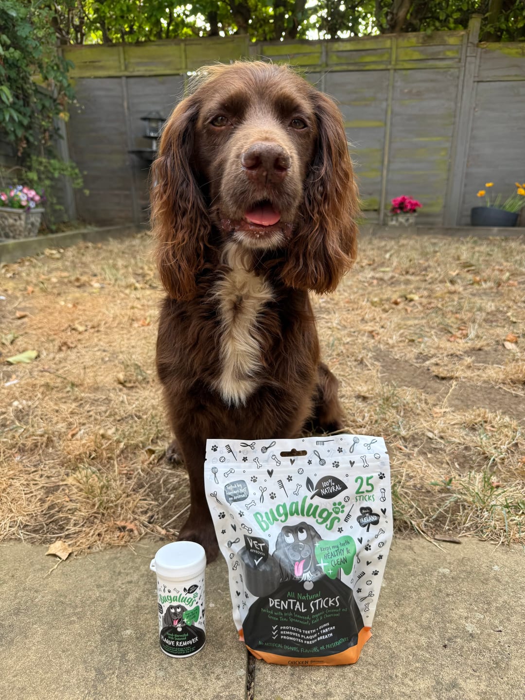Customer photo review of 100% Natural Plaque Remover for Dogs & Cats (70g)