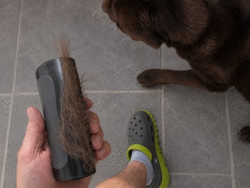 Customer photo review of Tender Puppy™ ShedPro