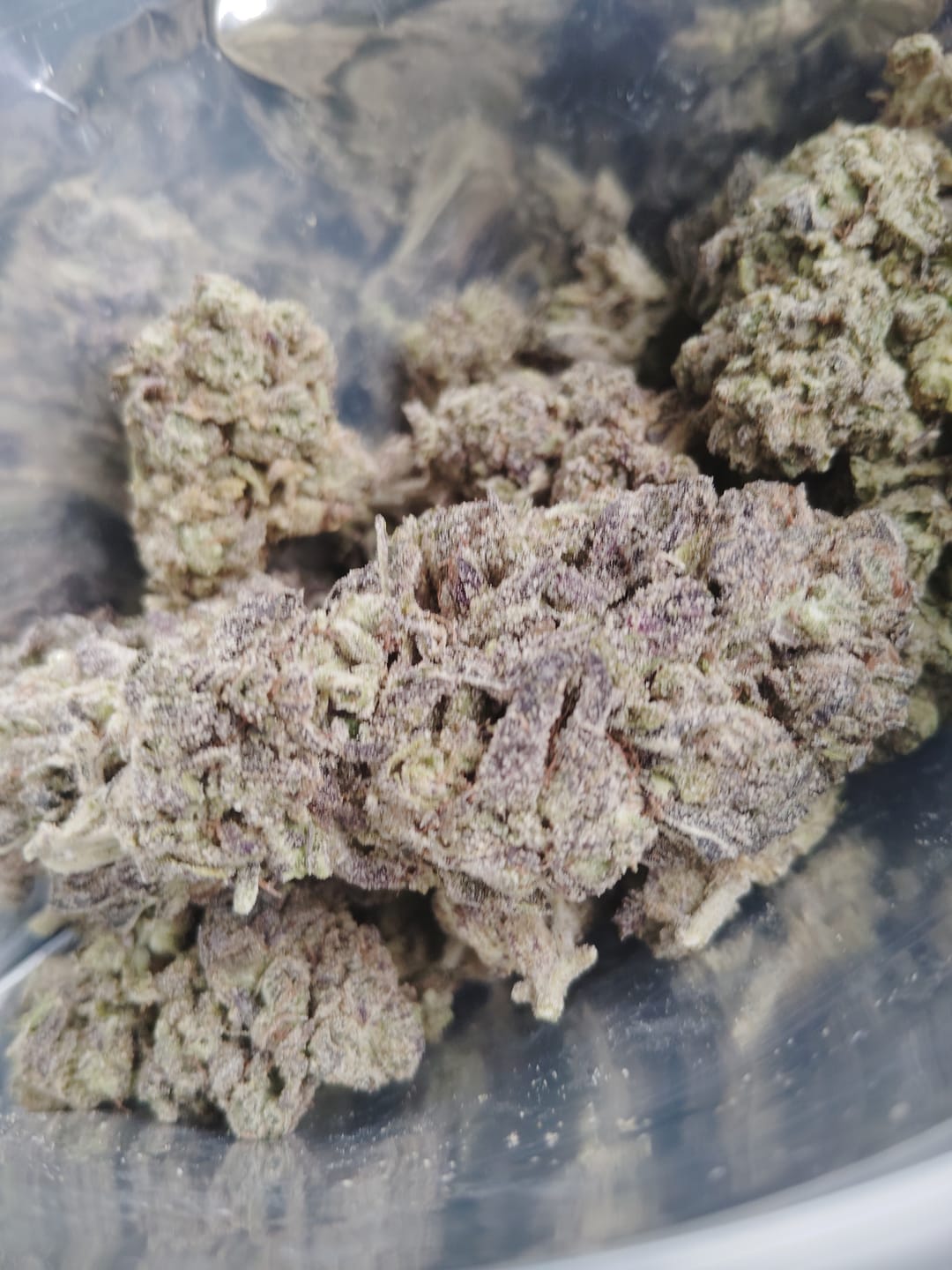 Customer photo review of Skywalker OG THCA Flower