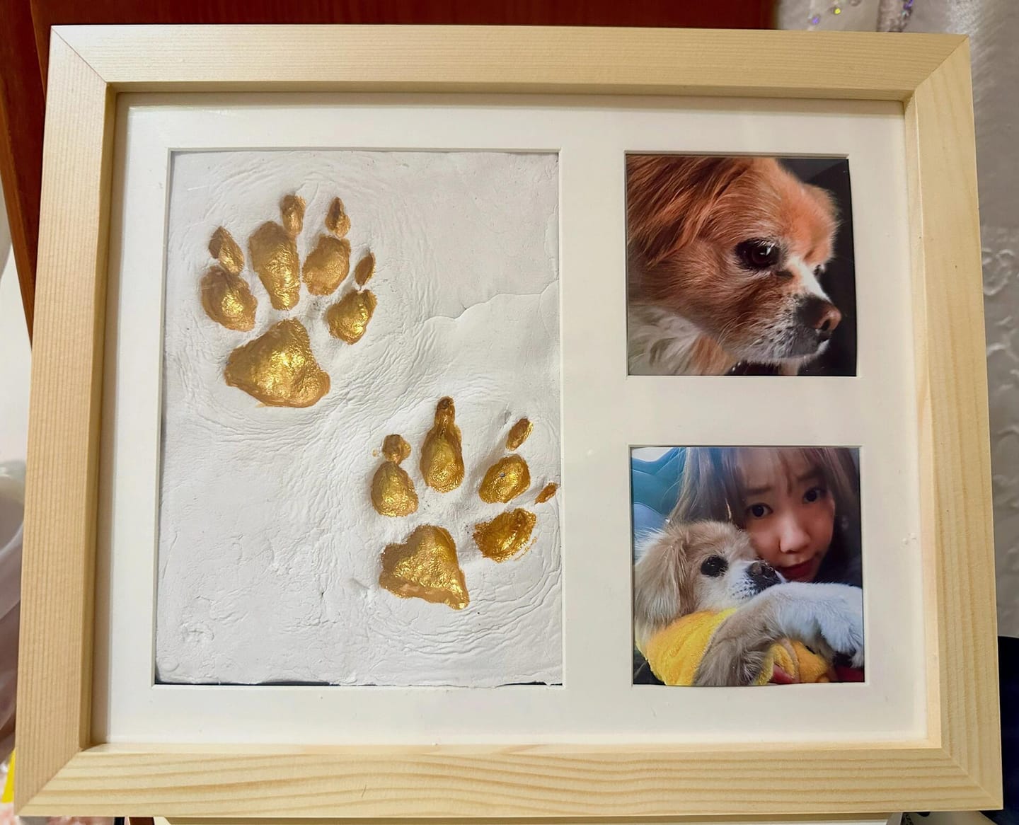 Customer photo review of Pawtique ForeverPaw™ Keepsake Kit