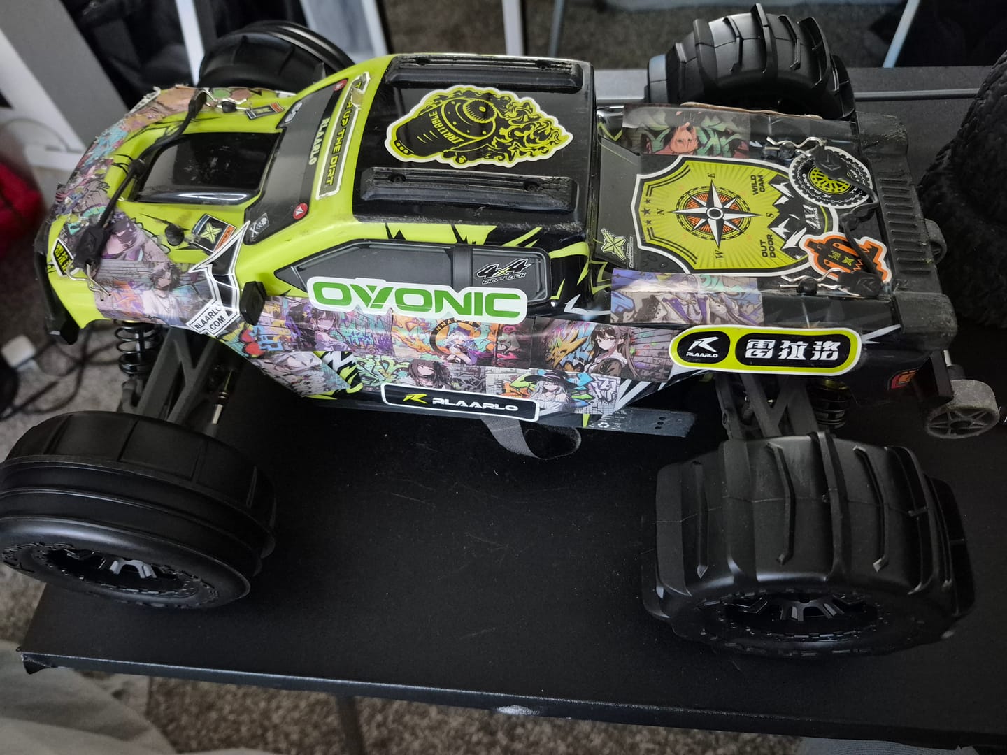 Customer photo review of RC Paddle Tires For RZ001