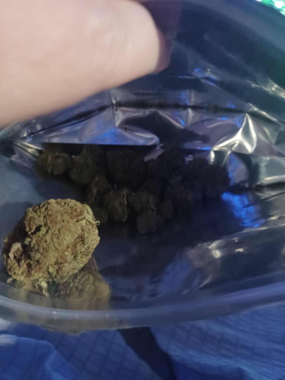 Customer photo review of Candy Gas THCA Flower