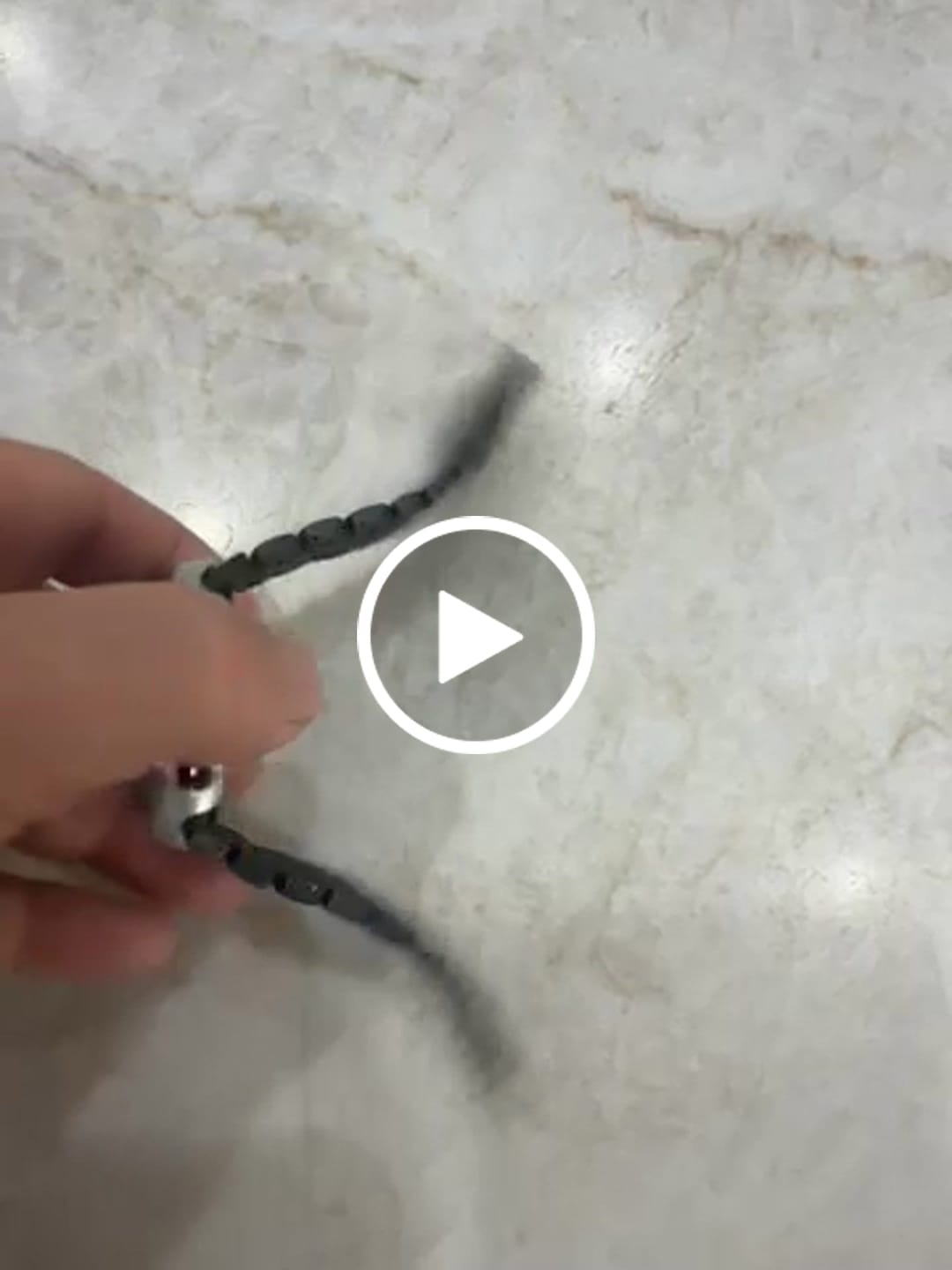 Customer video review of WatchBand Titanium Sport