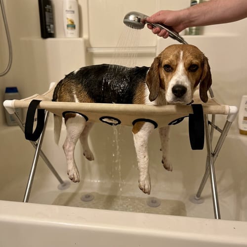 Customer photo review of Mufflo Grooming Hammock