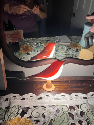 Reviewer's glowing red Glow Bird lamp sitting on a wooden table, reflected in a mirror behind it.