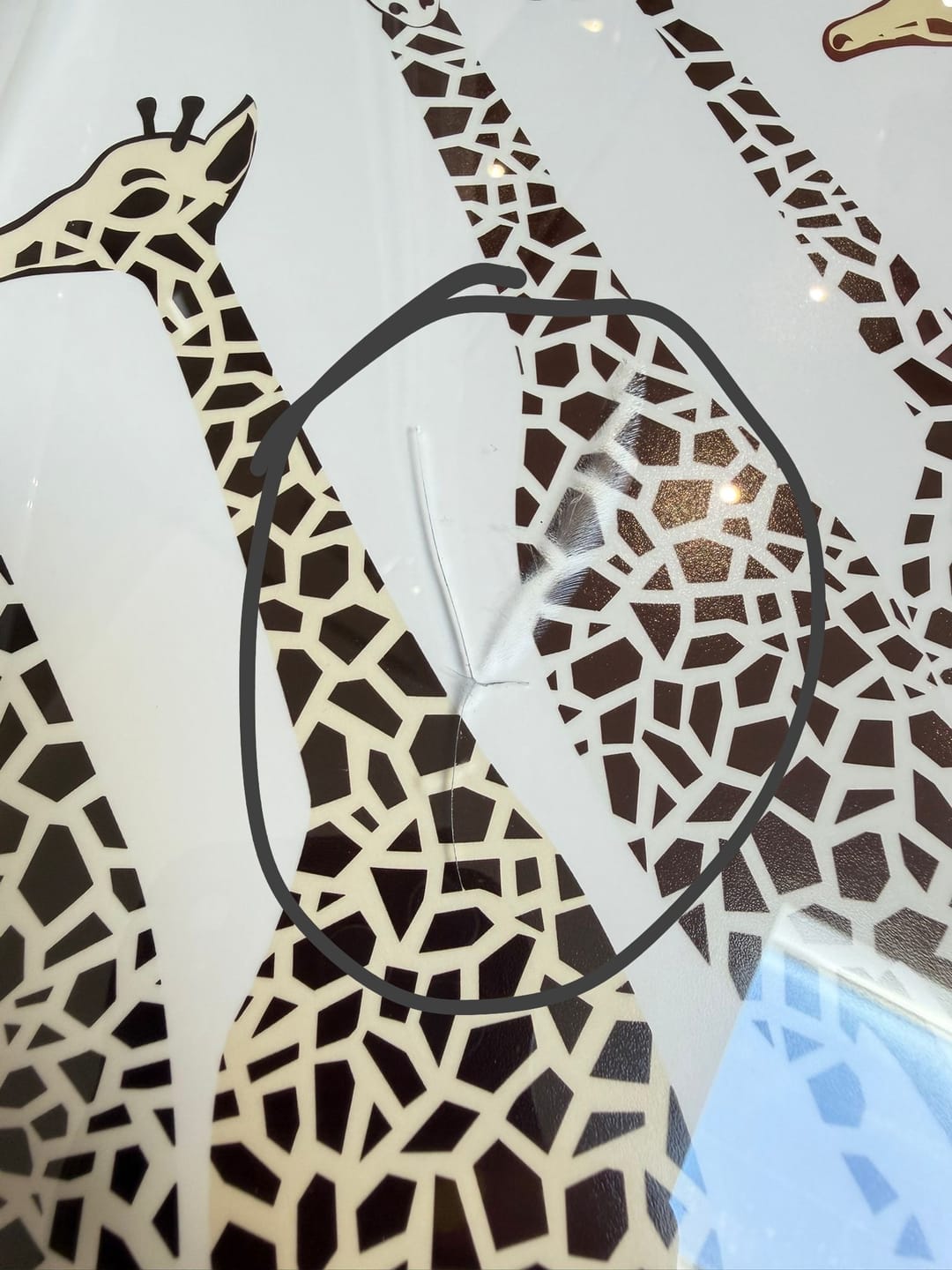 Customer photo review of Line Of Giraffes Framed Art Print