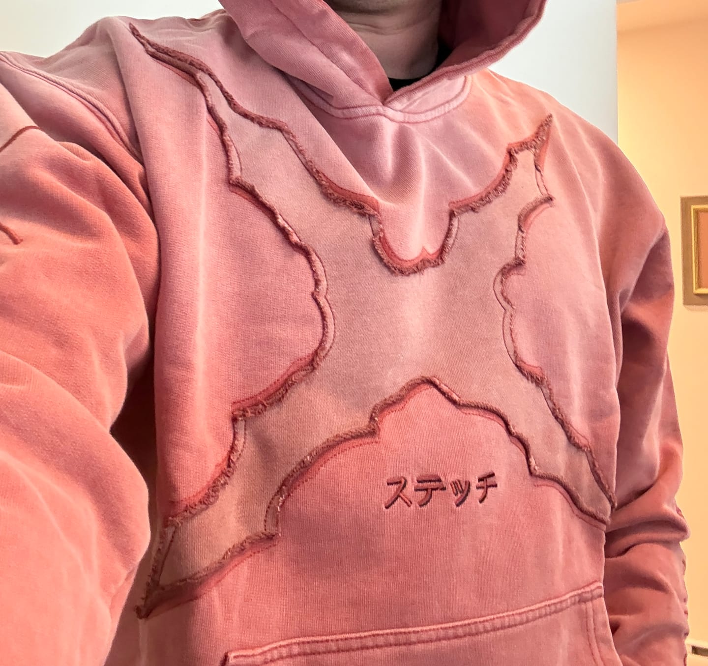 Customer photo review of LUFFY 'SCAR' HOODIE PRE-ORDER!
