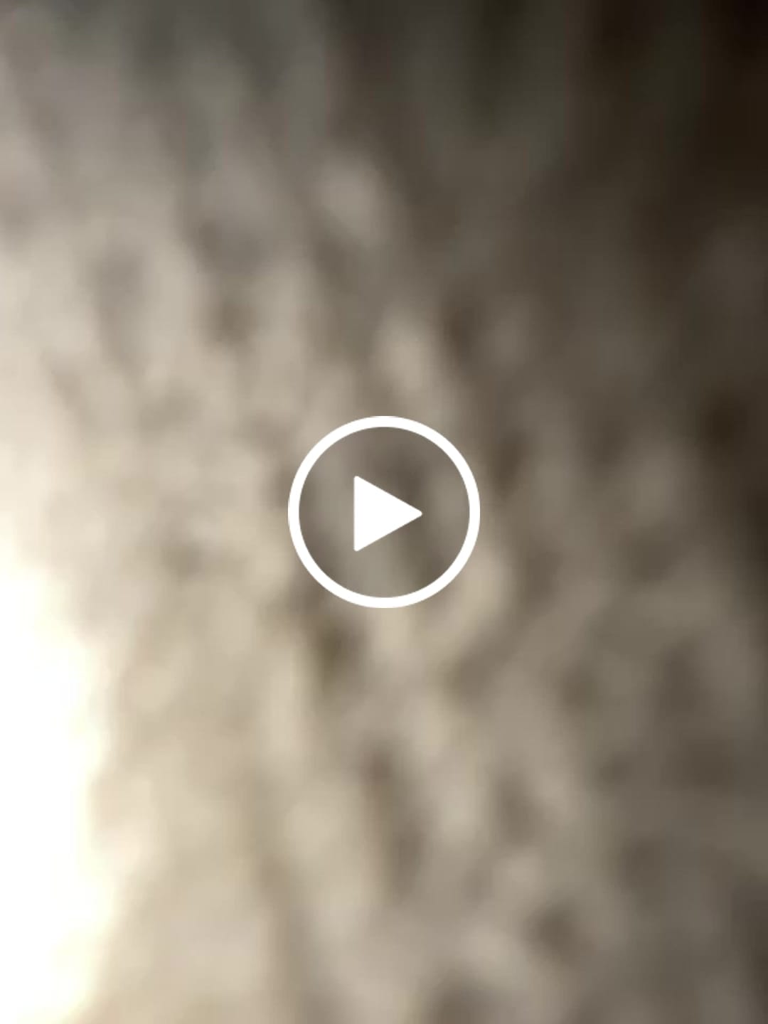 Customer video review of بنطلون ريلينس سكيتشرز