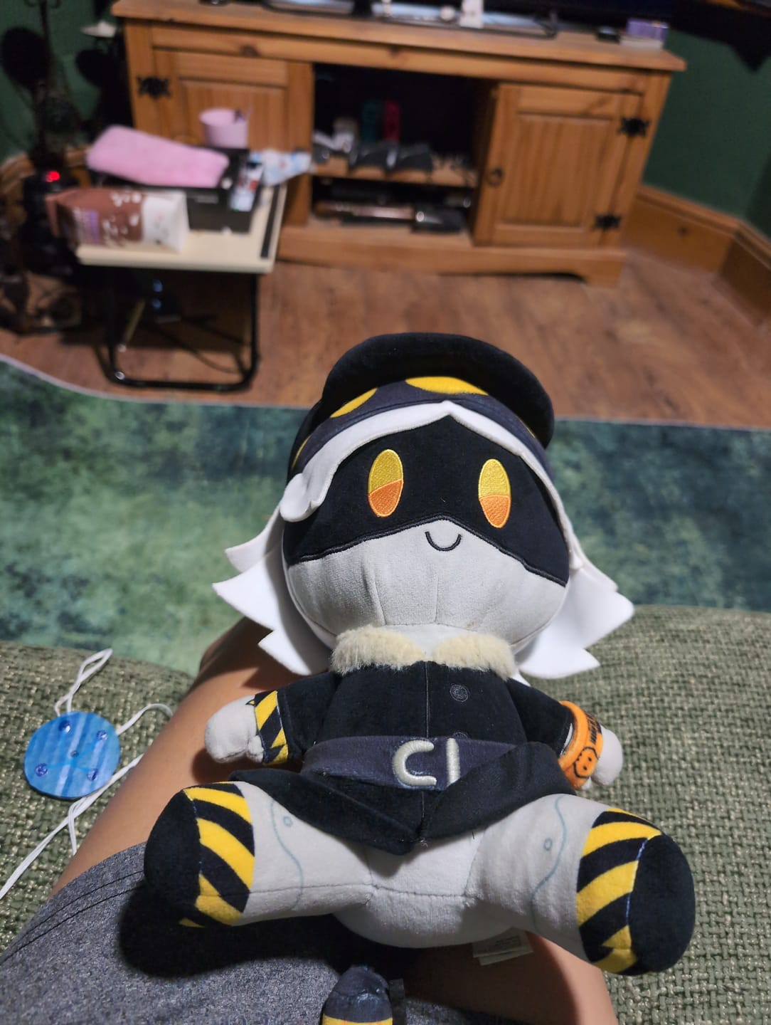 Customer photo review of N Plush