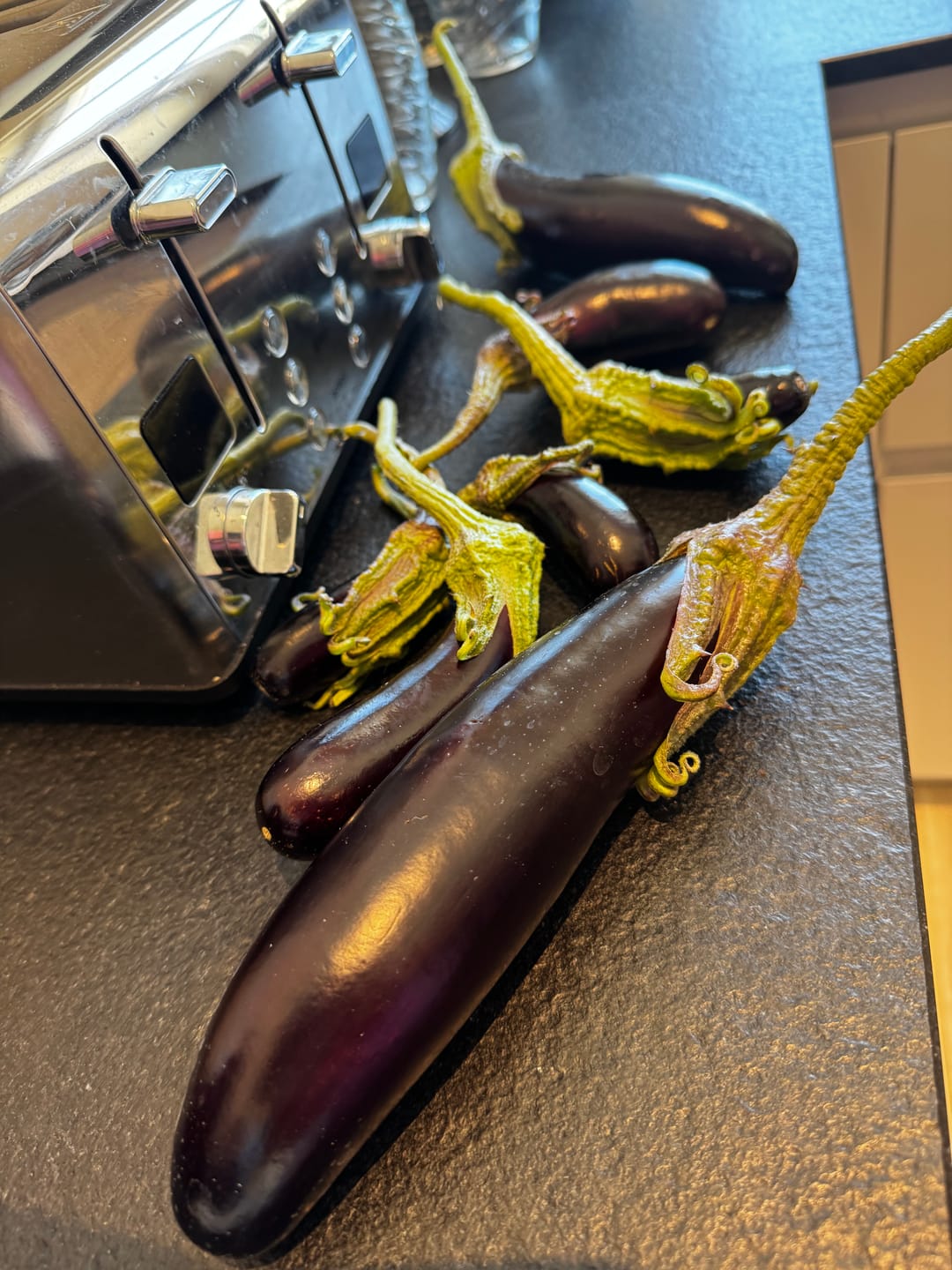 Customer photo review of Aubergine ‘De Barbentane’