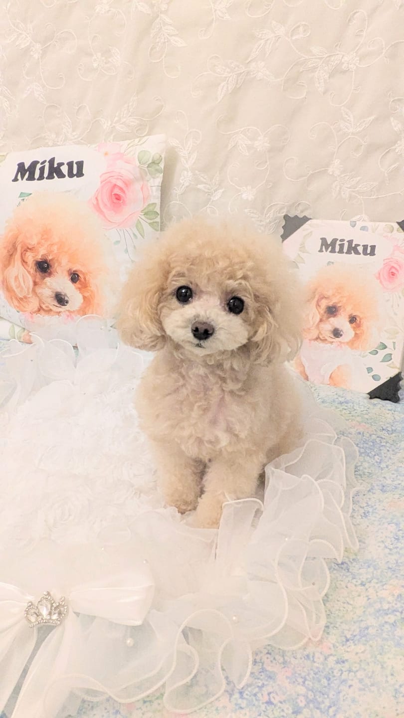 Customer photo review of Petcanva©オーダーメイド ペット似顔絵【3点セット】