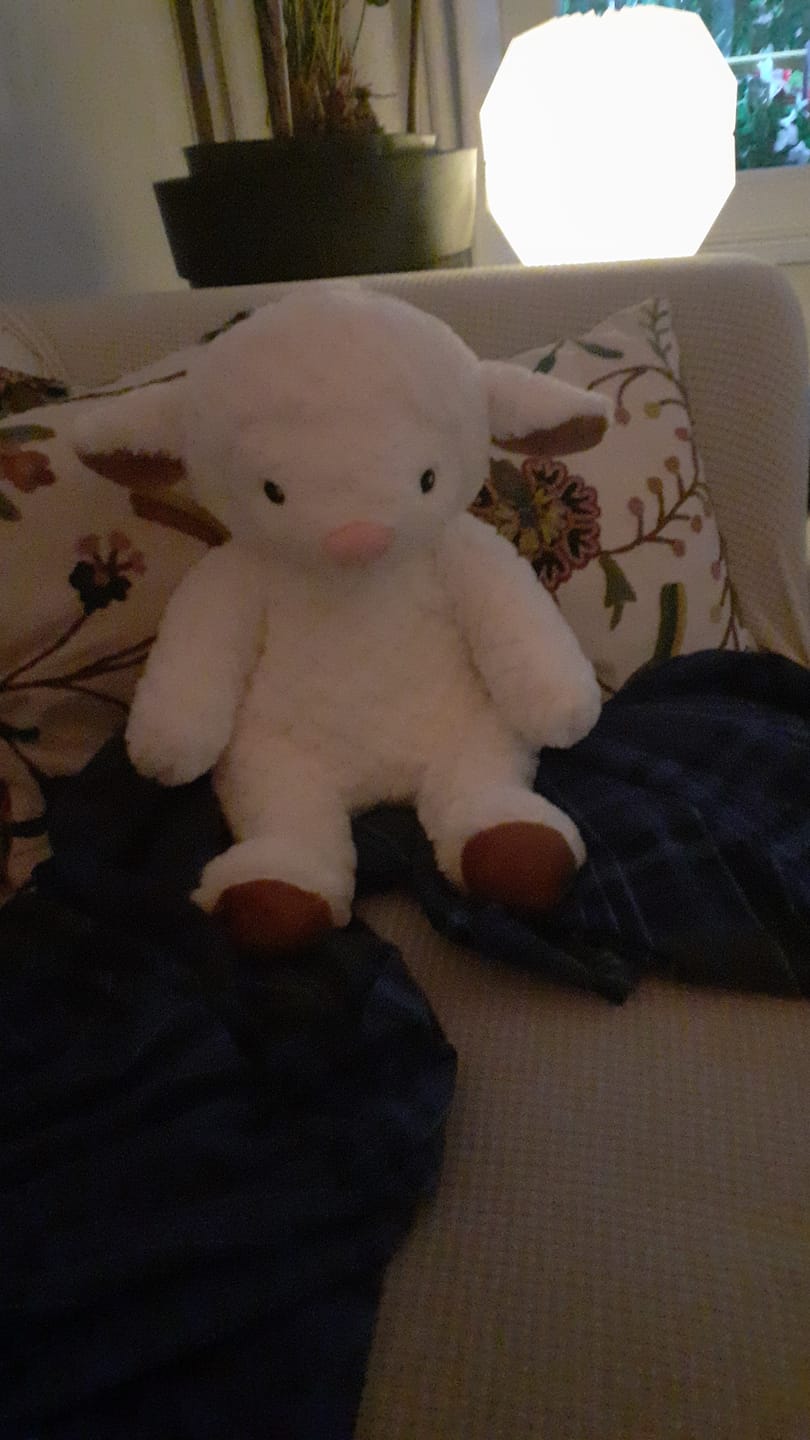 Customer photo review of Lotgenootje Luiaard 2,5kg
