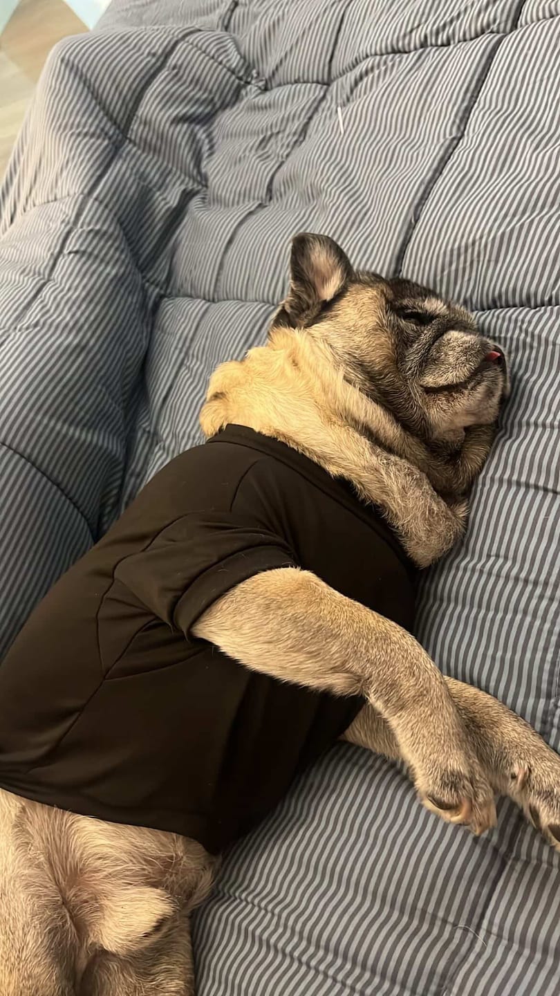 Customer photo review of Polera Térmica Power Stretch™