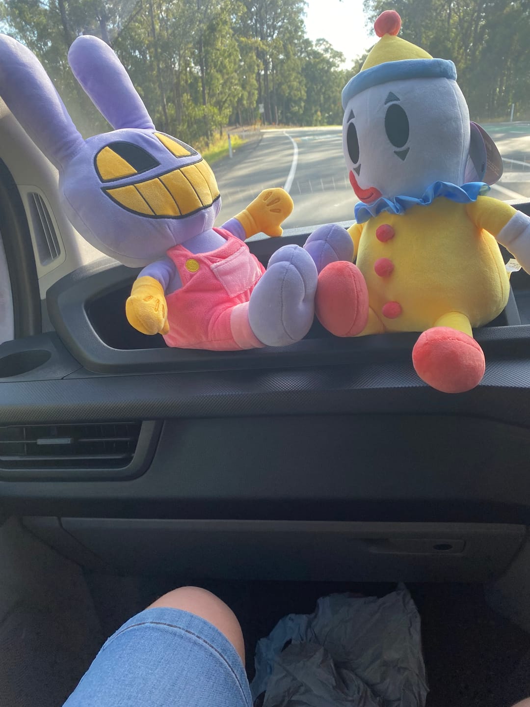 Customer photo review of Kaufmo Plush