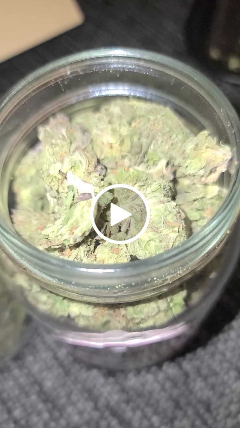 Customer video review of Apple Fritter - Bulk - Hybrid