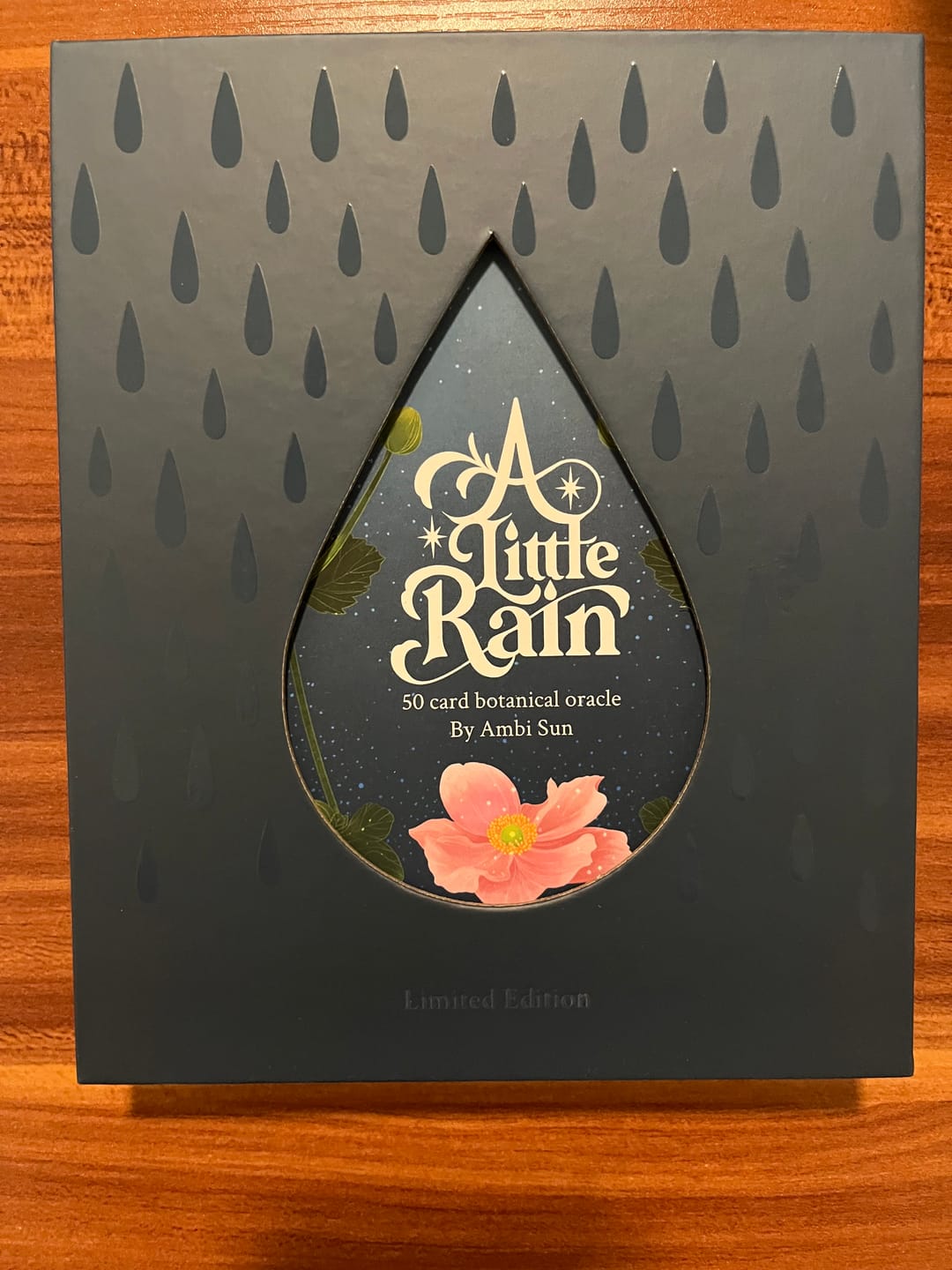 Customer photo review of A Little Rain Oracle