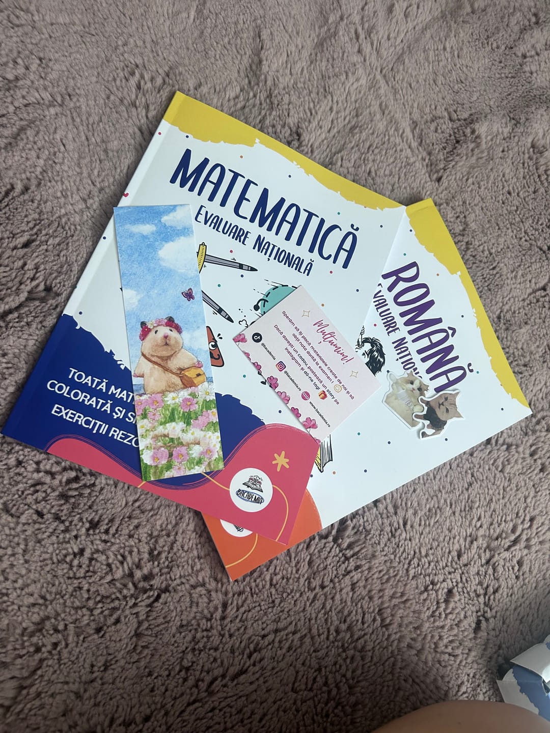 Customer photo review of Pachet Evaluare Națională (Română + Matematică) Bacademia