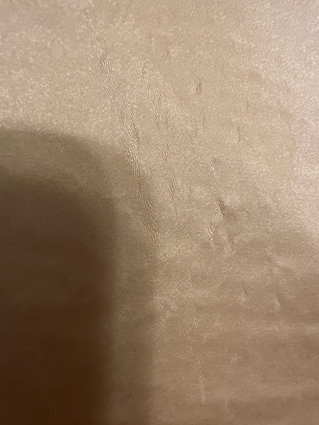 Customer photo review of 19 Momme 100% Pure Mulberry Silk Pillowcase