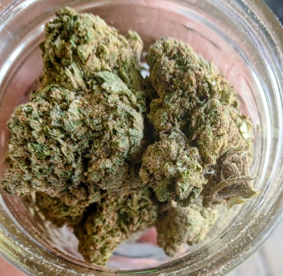 Customer photo review of Super Runtz Mediums - Bulk Mediums - Hybrid