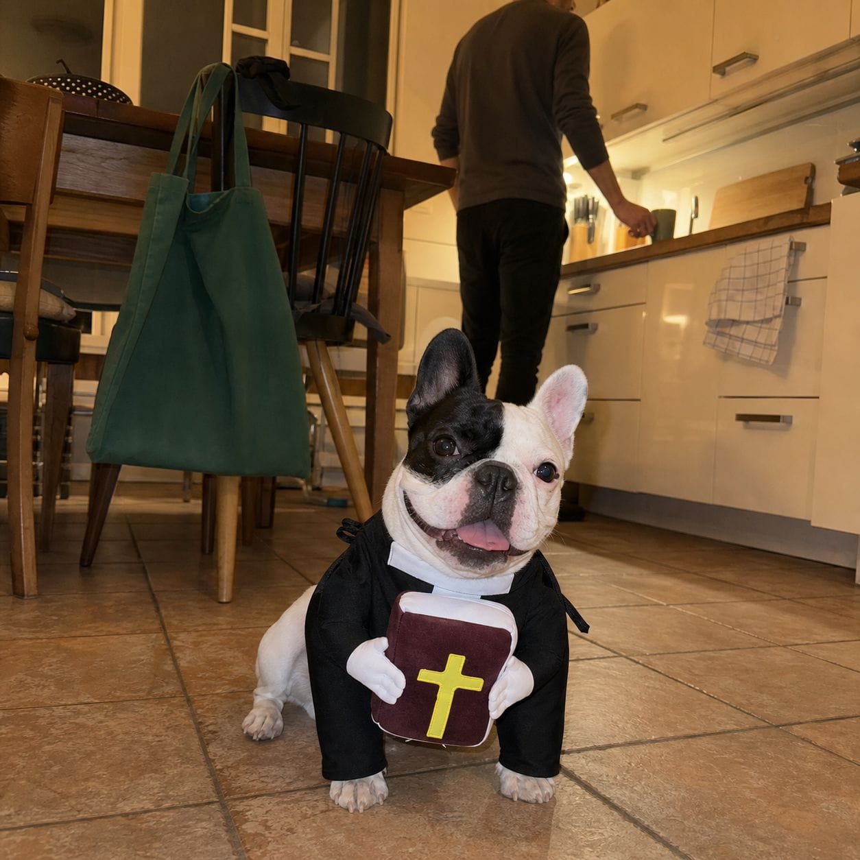 Customer photo review of Blessed Pup Costume