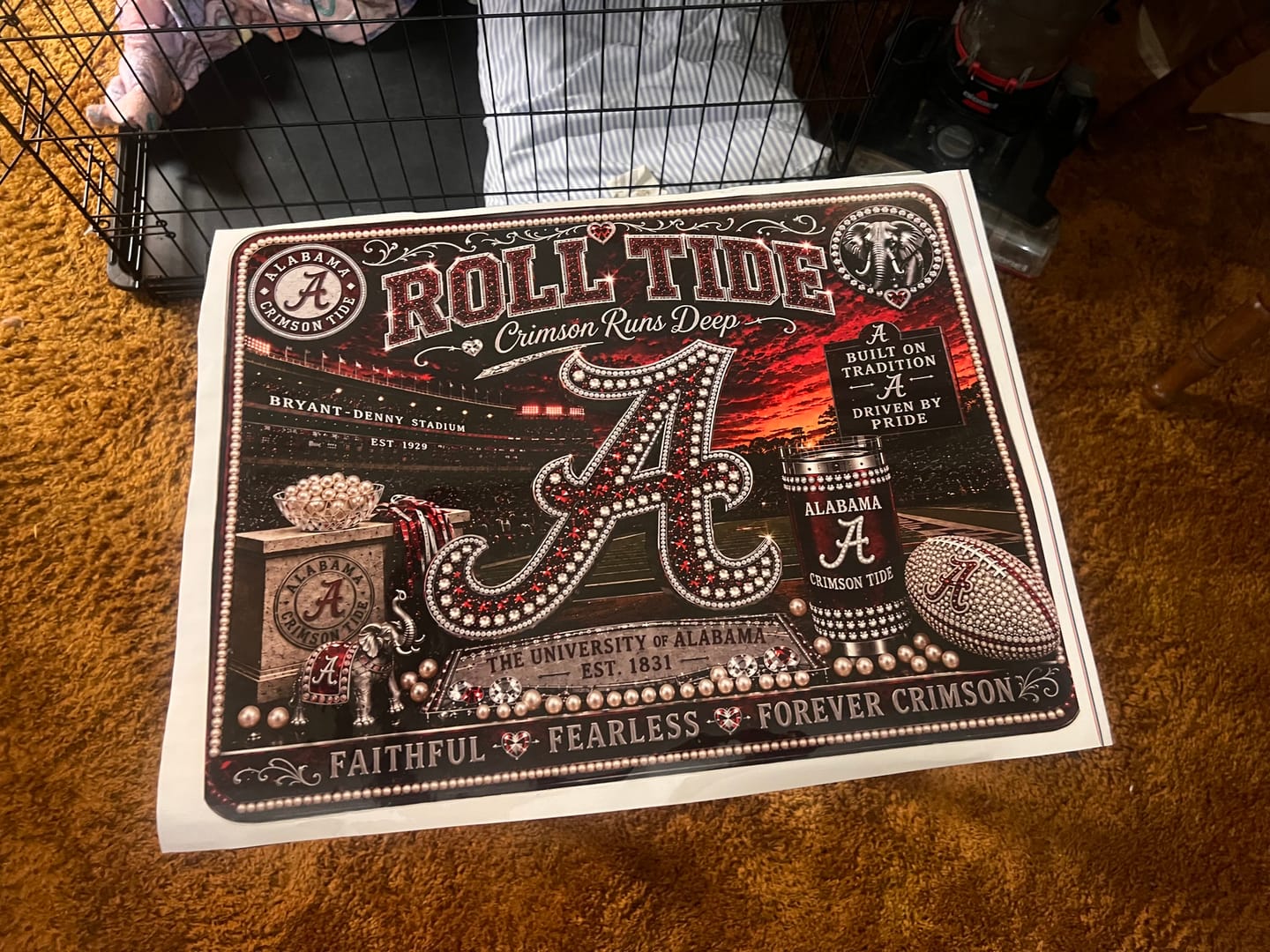 Customer photo review of UV DTF Gang Sheet (Builder)