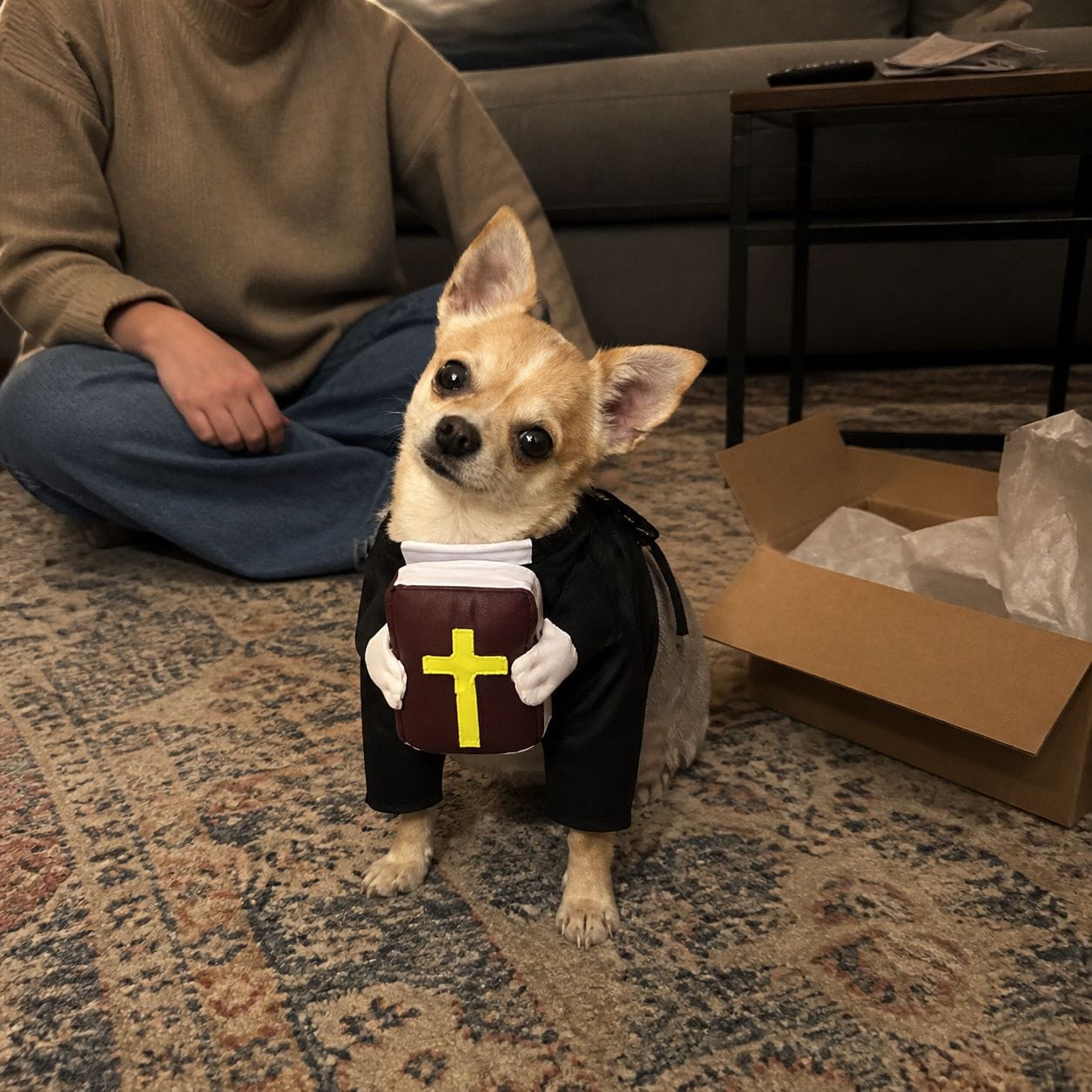 Customer photo review of Blessed Pup Costume