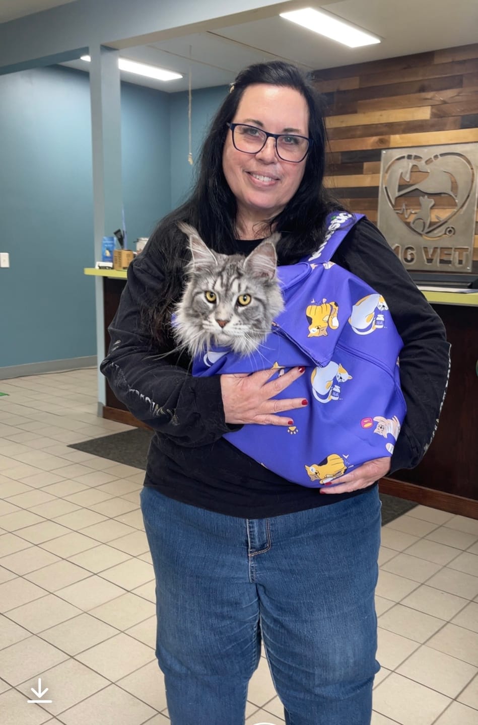 Customer photo review of Kitastic Cat Carrier