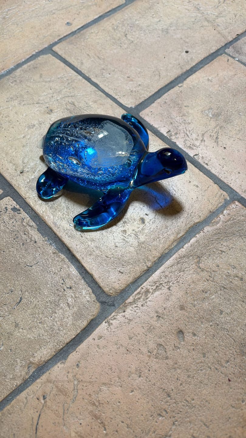 Customer photo review of Tartaruga in Vetro Blu 16x14x7cm