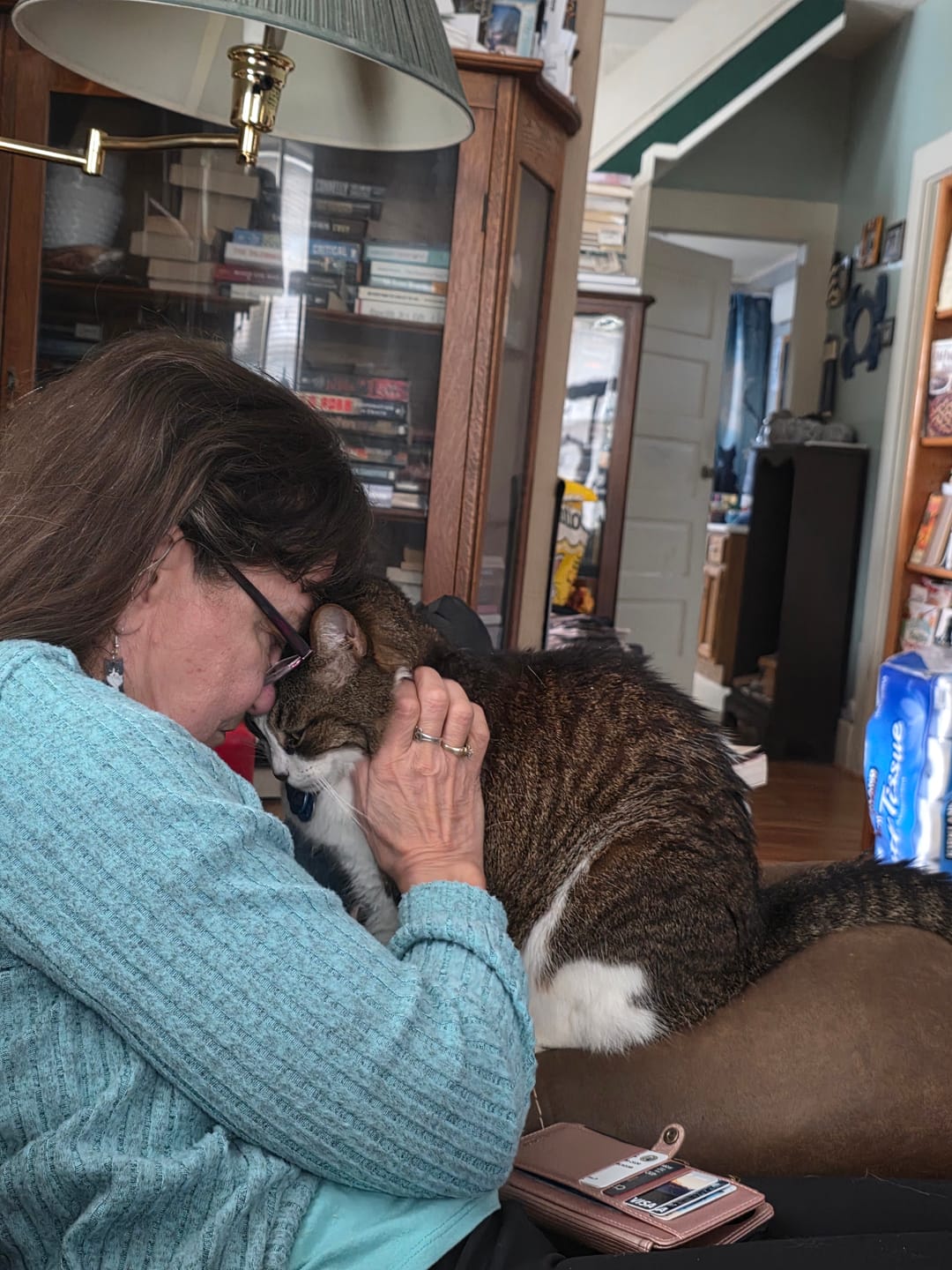 Customer photo review of Cat Laxative & Constipation Remedy