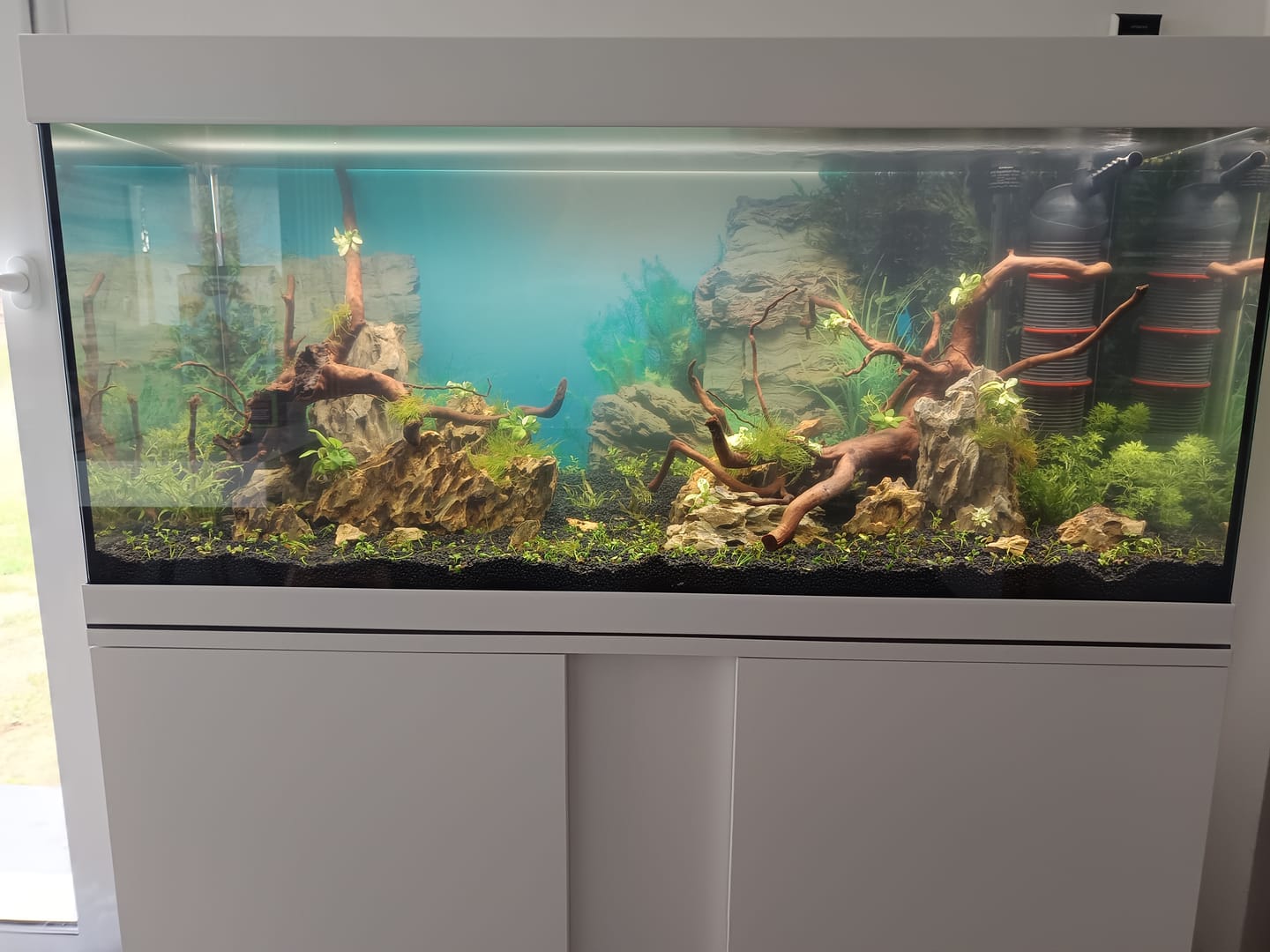 Customer photo review of Aquarium Équipé Vivaline LED 180 Combi Blanc EHEIM - 13,5W