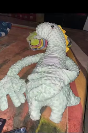 Customer photo review of Dinosaurio Palmaditas