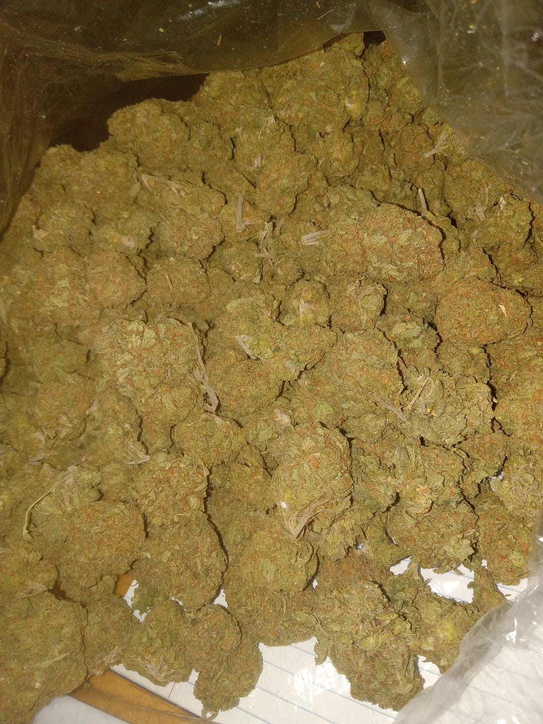 Customer photo review of Blackout Berries THCA Flower Ounce (28g)