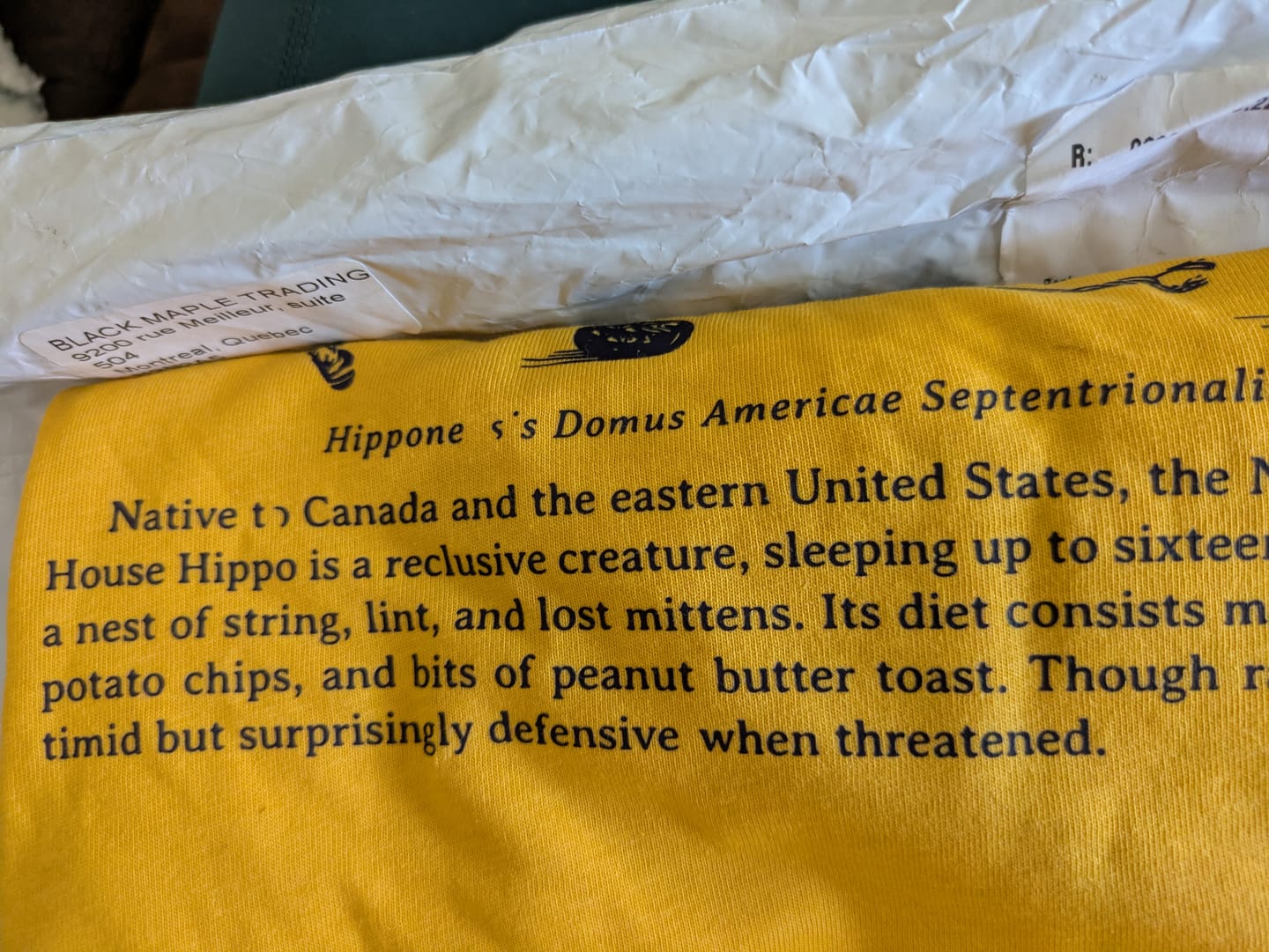 Customer photo review of North American House Hippo T-shirt