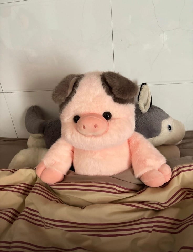 Customer photo review of Running Pig Plush Toy