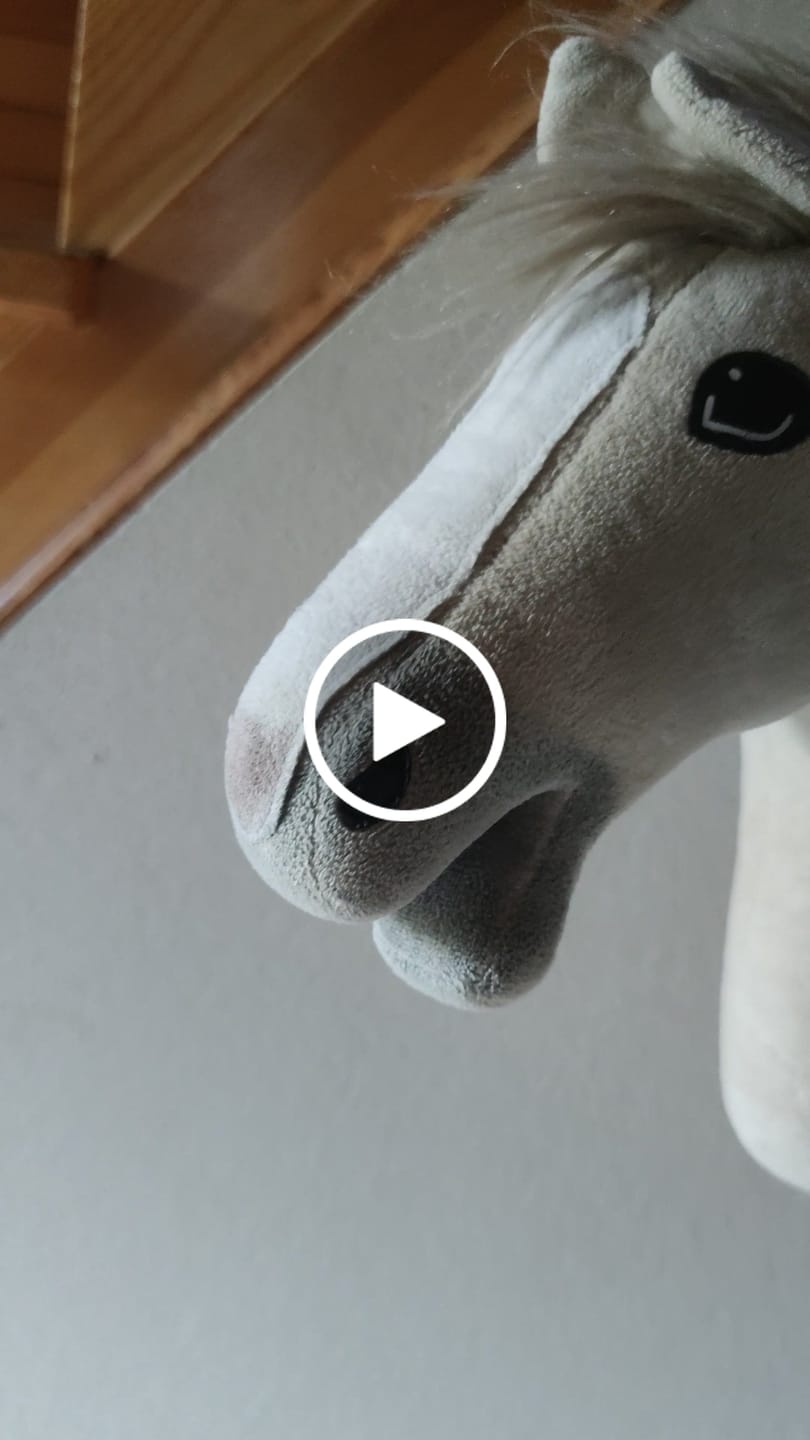 Customer video review of Hobby Horse Pixie with Black Halter