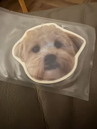 Customer photo review of Personalized Custom Shape Car Air Freshener With Your Photo