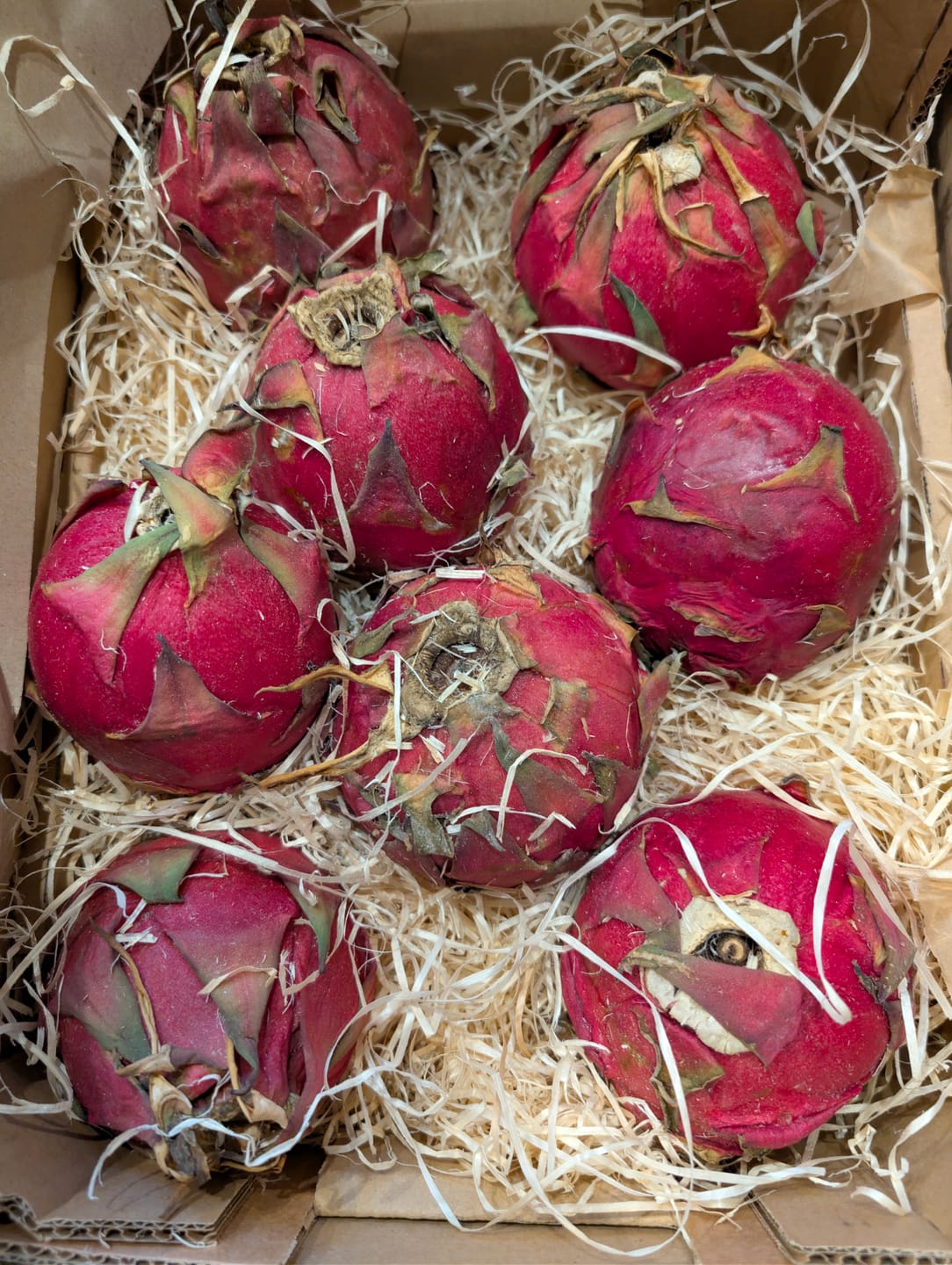 Customer photo review of Drachenfrucht rot Bio von Julian Aktionspreis %
