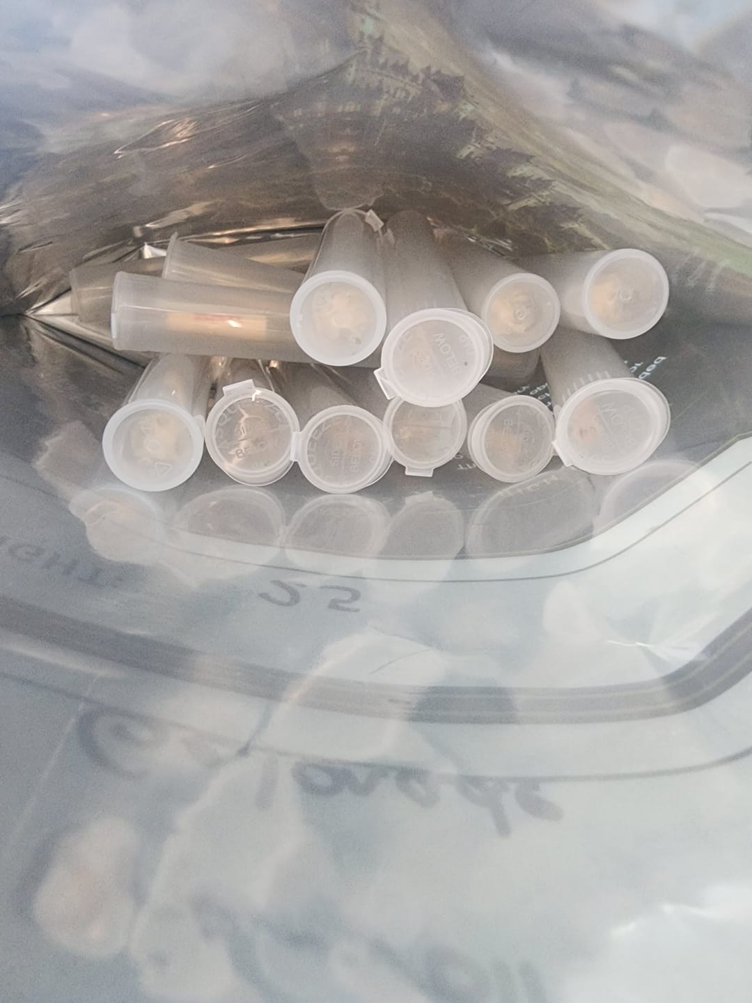 Customer photo review of THCA Pre-Roll