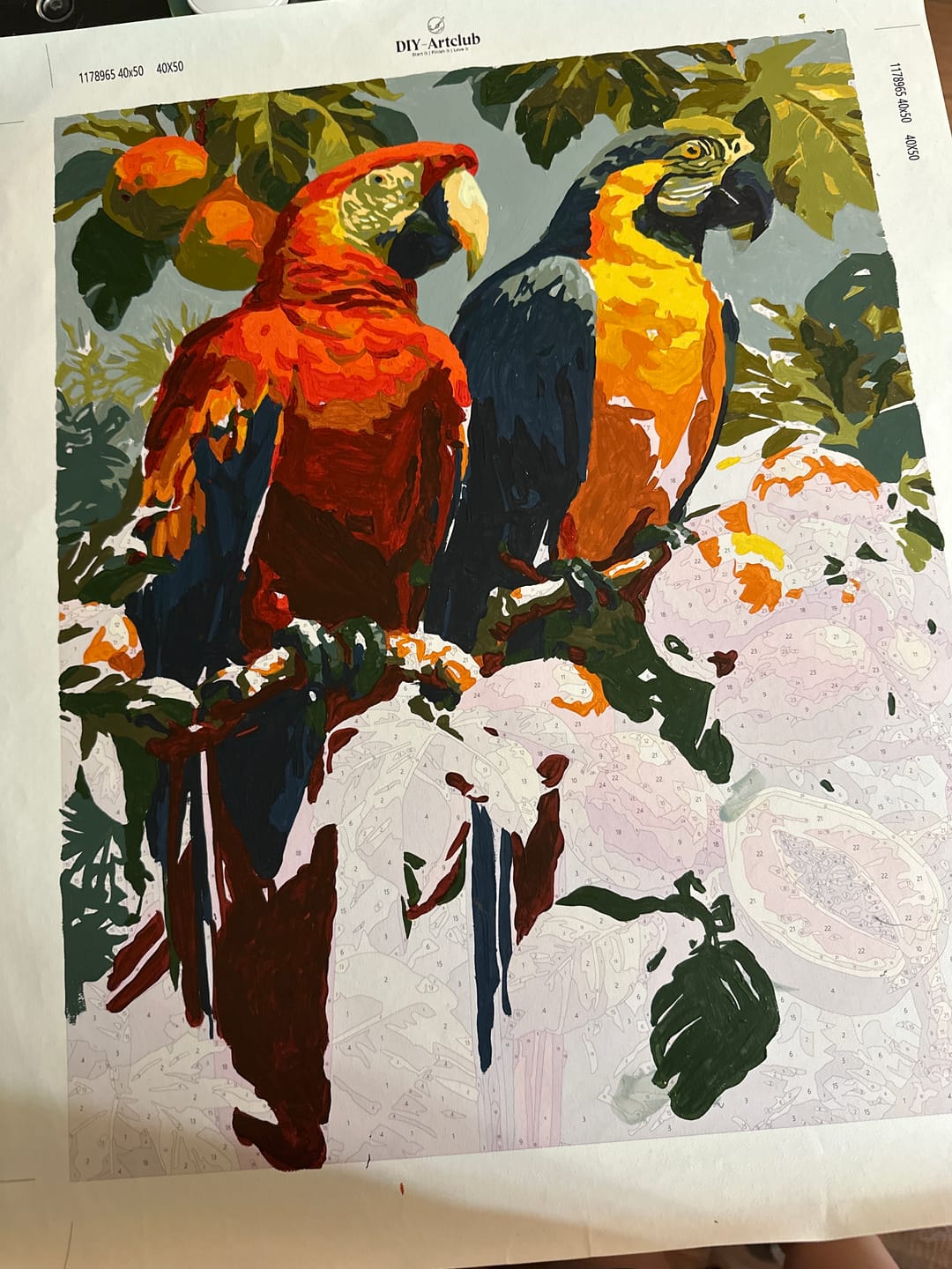 Customer photo review of Rainforest Pair | Paint by Number