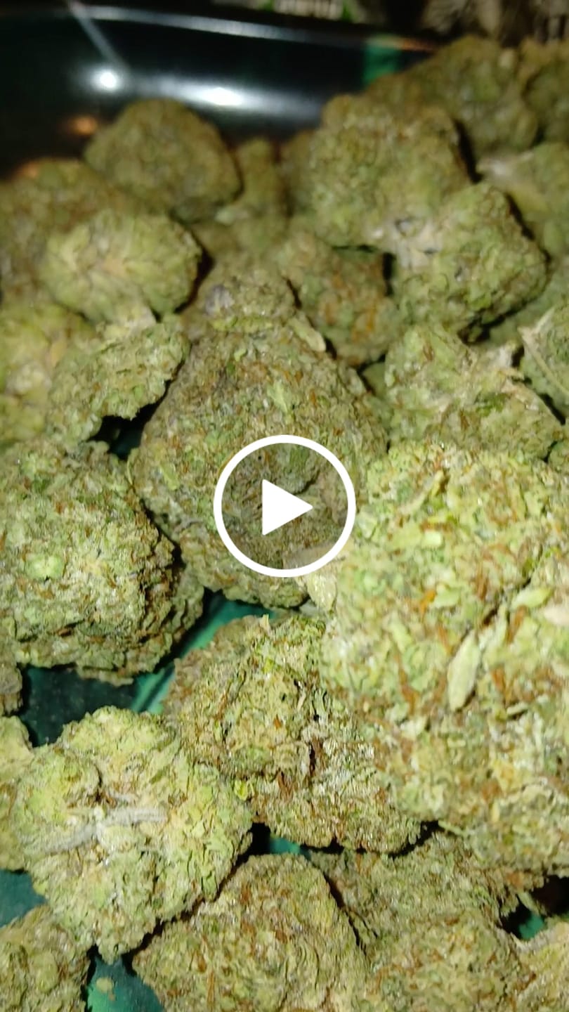 Customer video review of Cheap Indoor THCA Flower Ounce