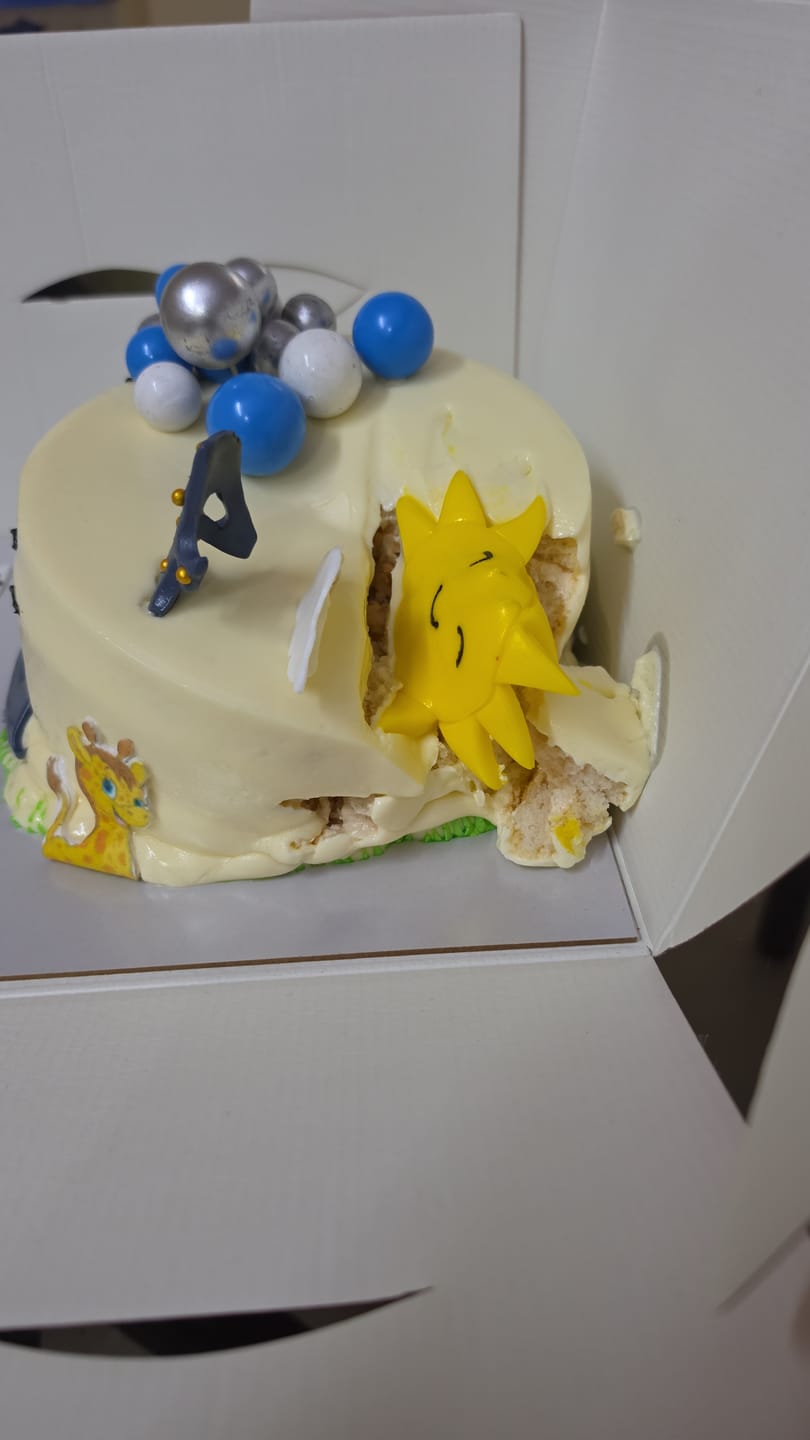 Customer photo review of Elephant Sunny Design Cake