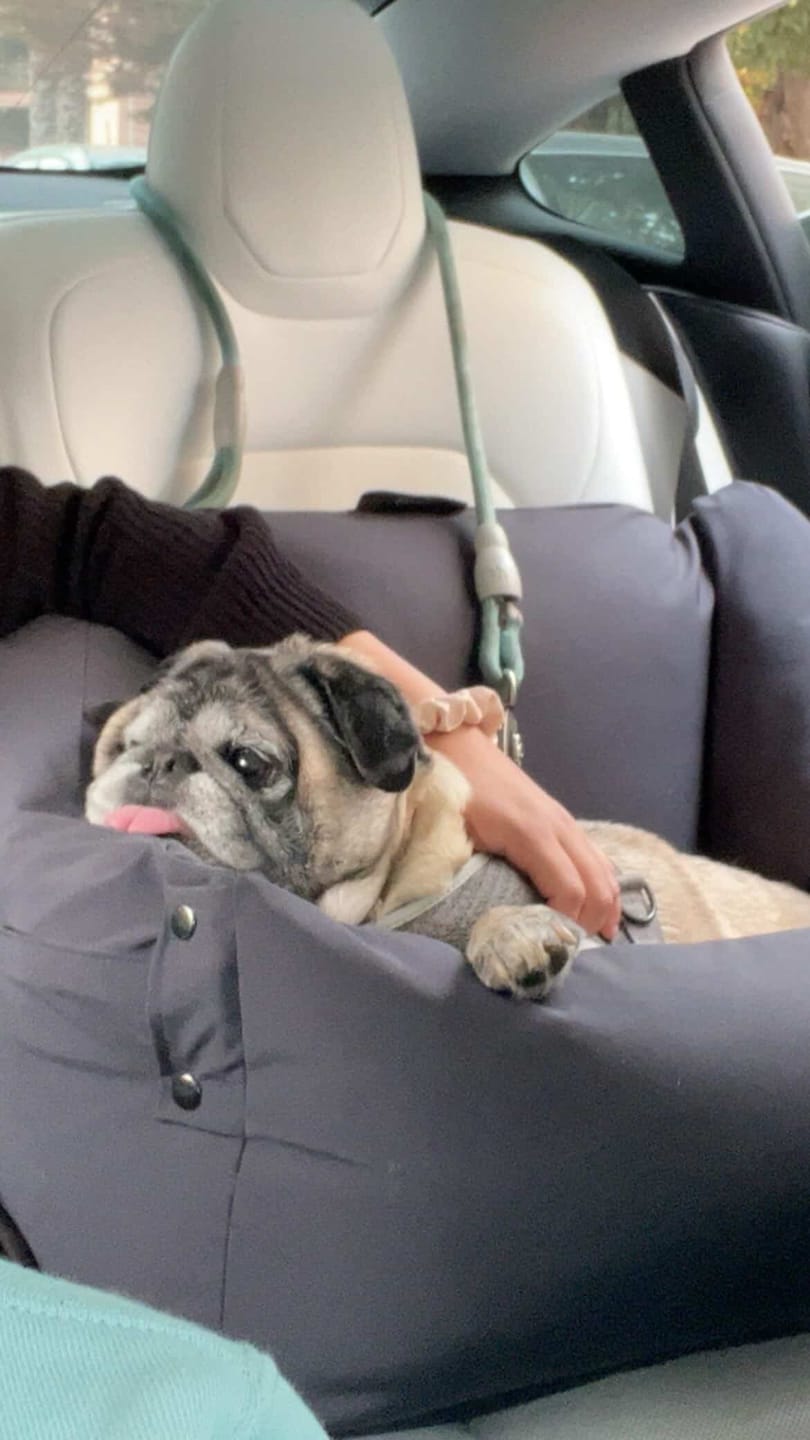 Customer photo review of Cama para auto gris gráfito