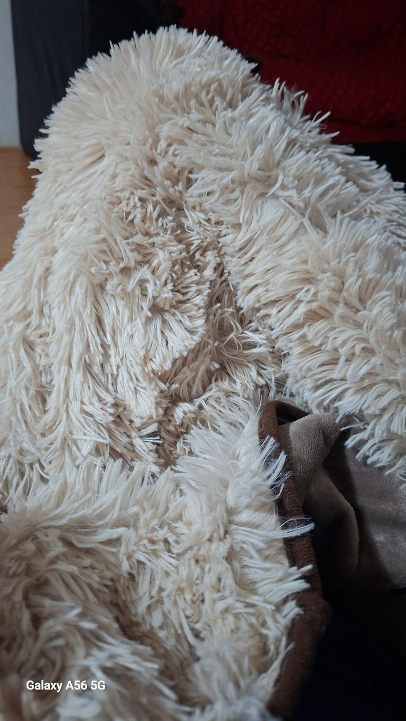 Customer photo review of Cobija Impermeable para Perros