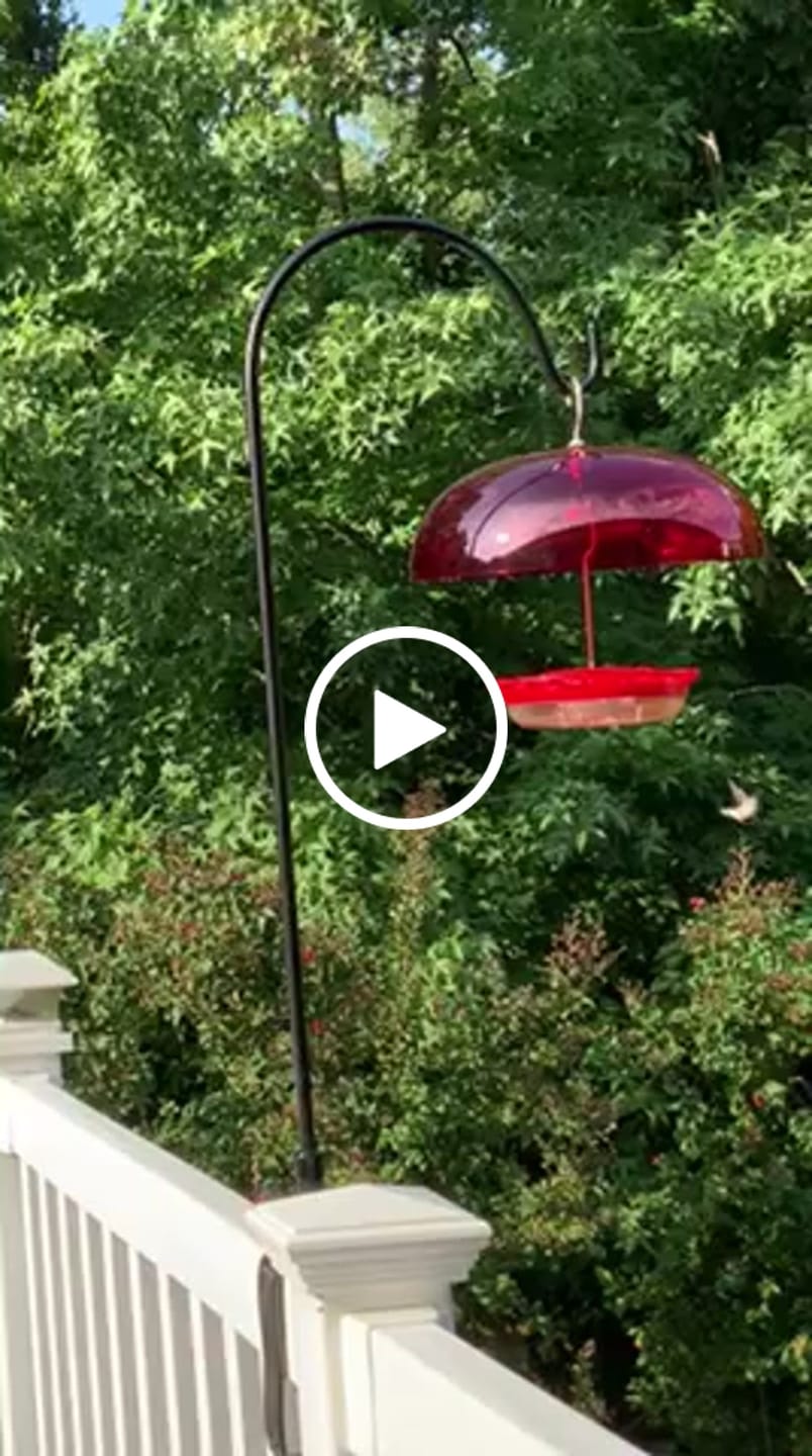 Customer video review of Deck Rail Hanger – Extra Large Clamp