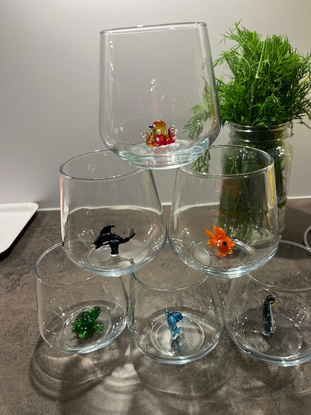 Customer photo review of Ocean Set of 6