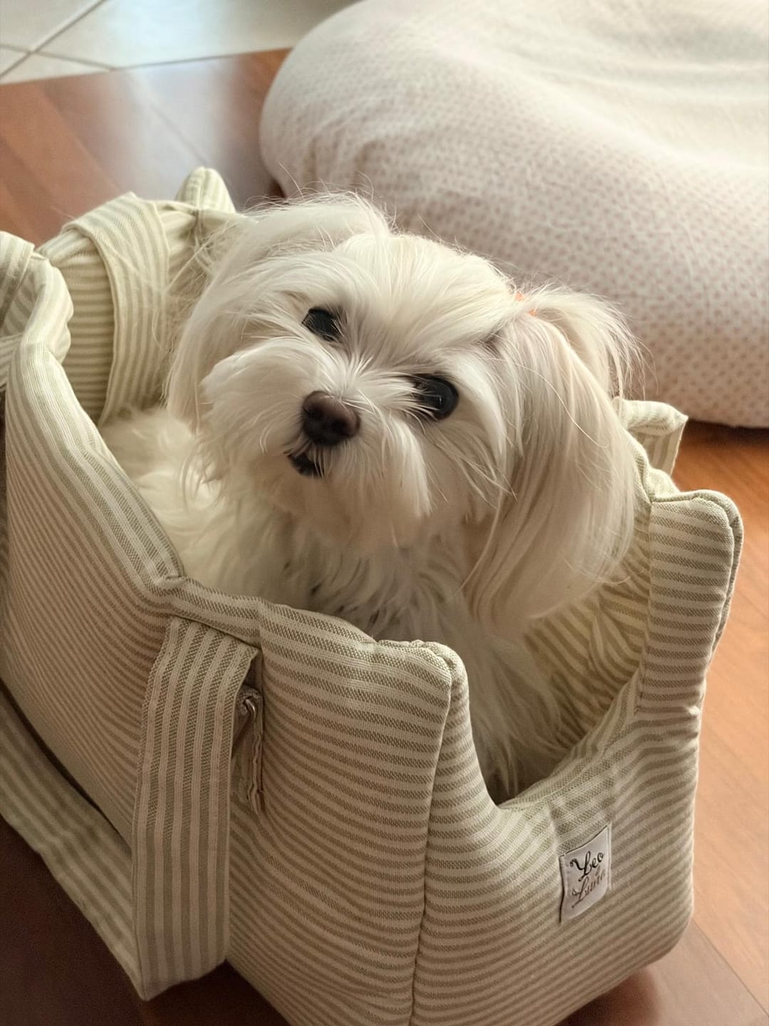 Customer photo review of Borsa Cotone Urban Righe Verde Chiaro
